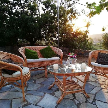 Апартаменты Theasea House With Garden Riglia Экстерьер фото